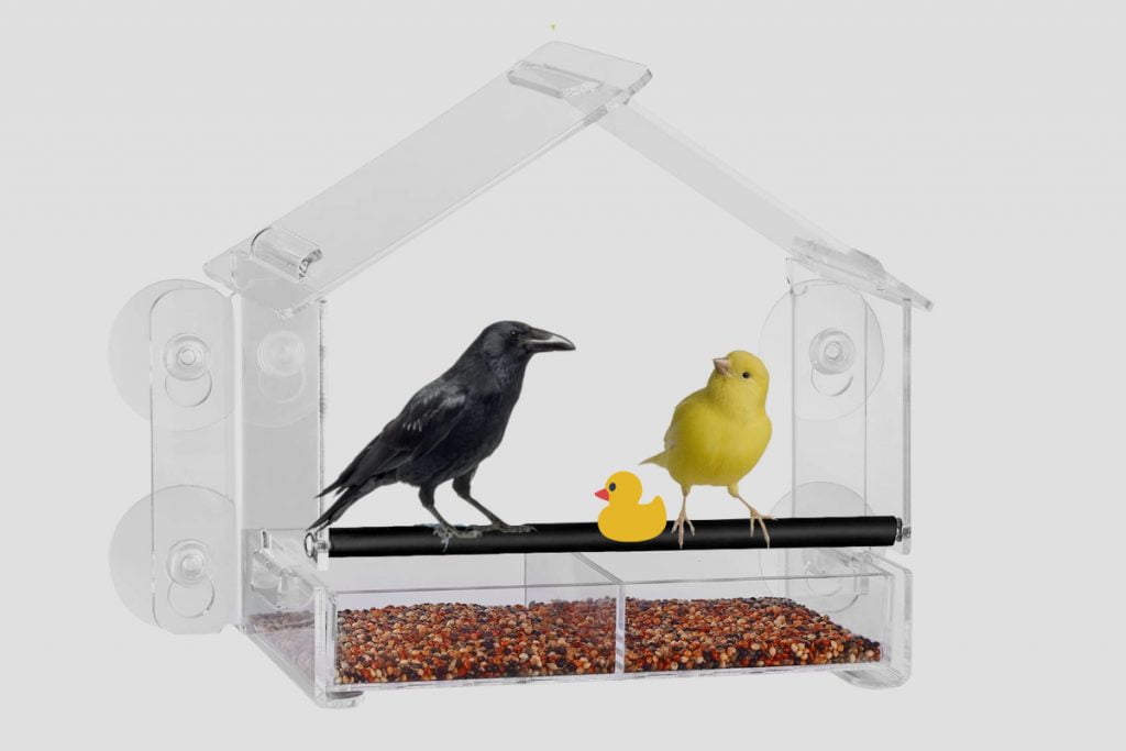 How Do You Choose The Right Window Bird Feeder For Your Home