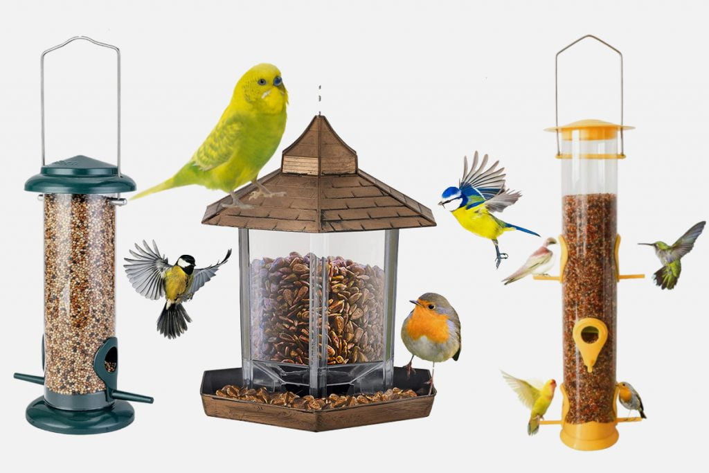 What is a Hanging Bird Feeder