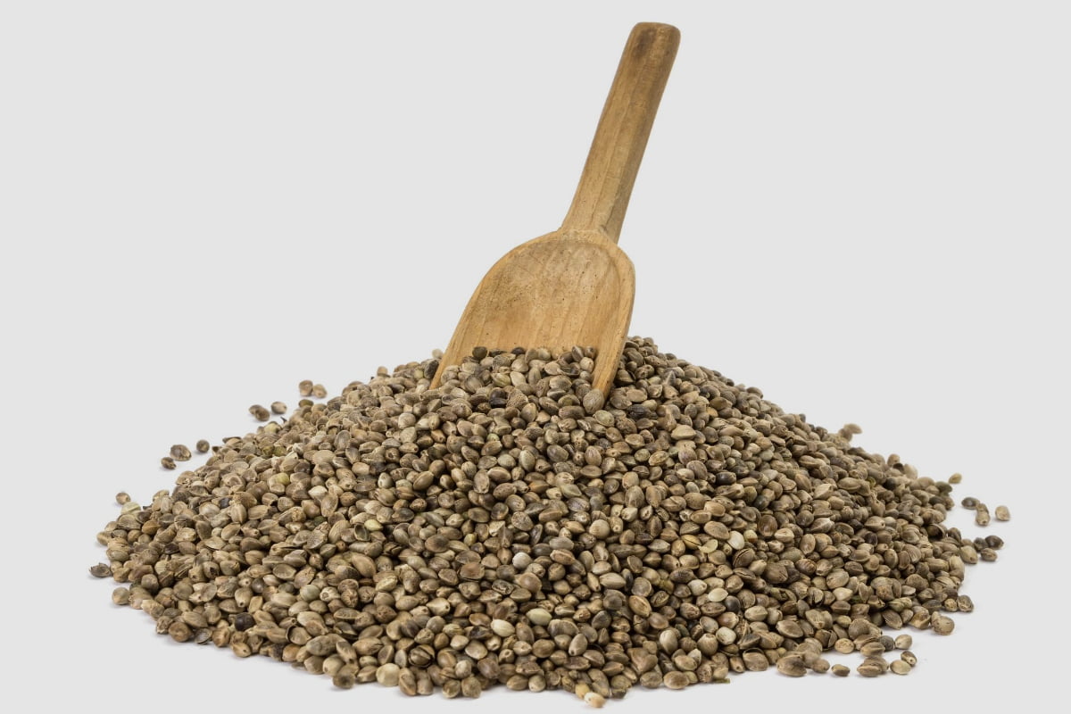 How To Store Bird Seed For Optimal Freshness Home Bird Feeder