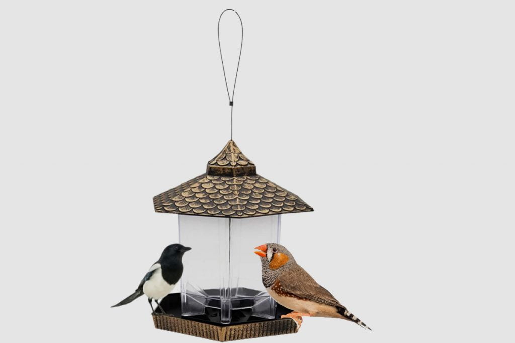 Hanging window bird feeders
