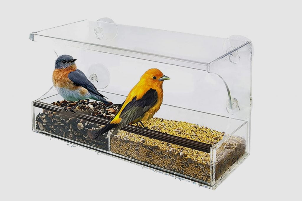 Suction cup window bird feeders