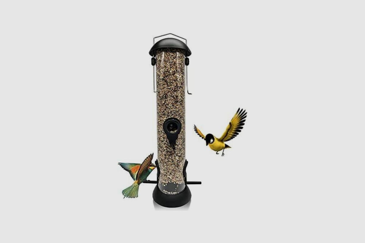 How Long Can Bird Seed Stay in a Feeder? Home Bird Feeder