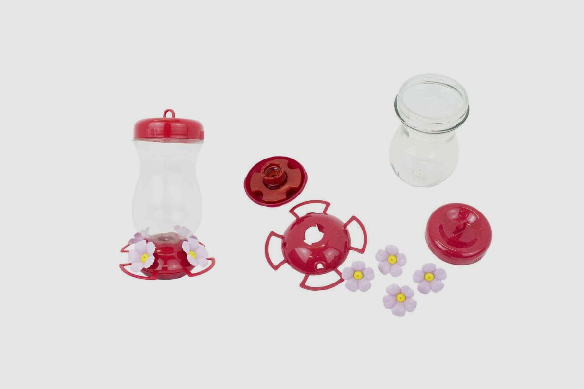 Can you Put Hummingbird Feeders in the Sun? Home Bird Feeder