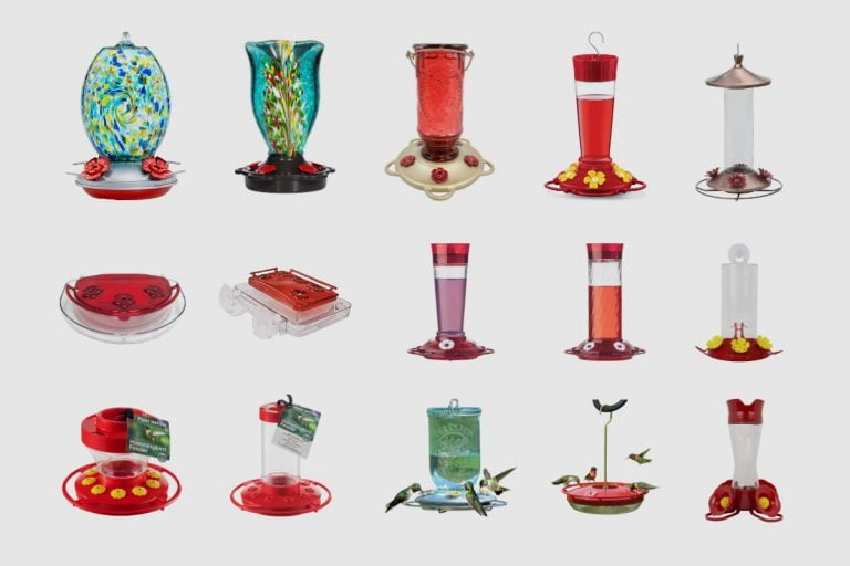 15 Best Hummingbird Feeders Compared Which One Is the Best Value