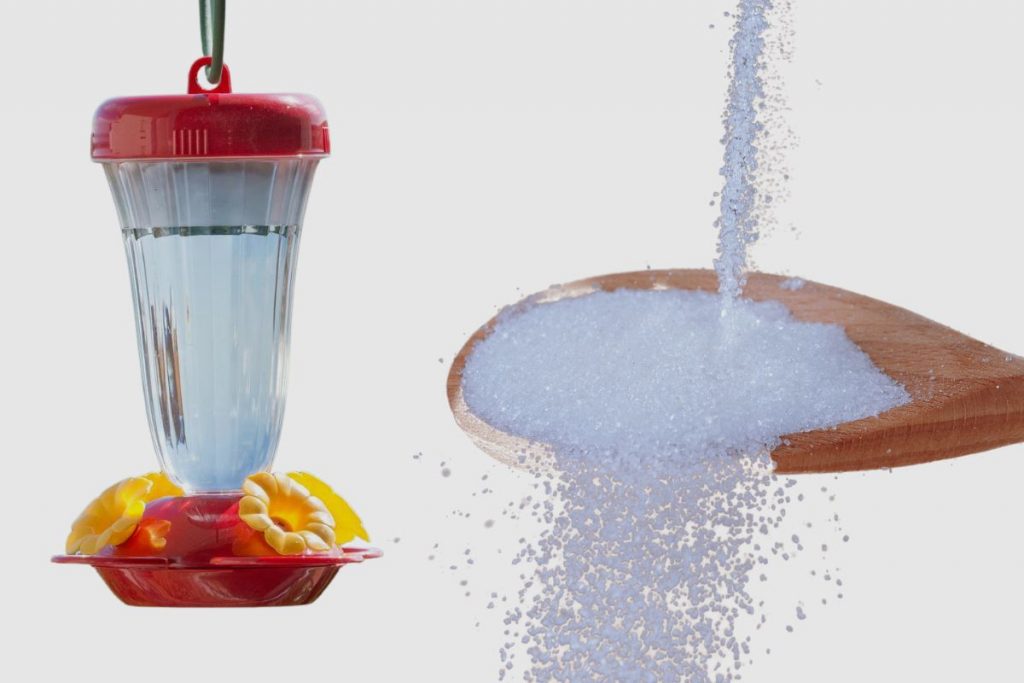 Are there any health risks associated with using too much sugar in a hummingbird feeder