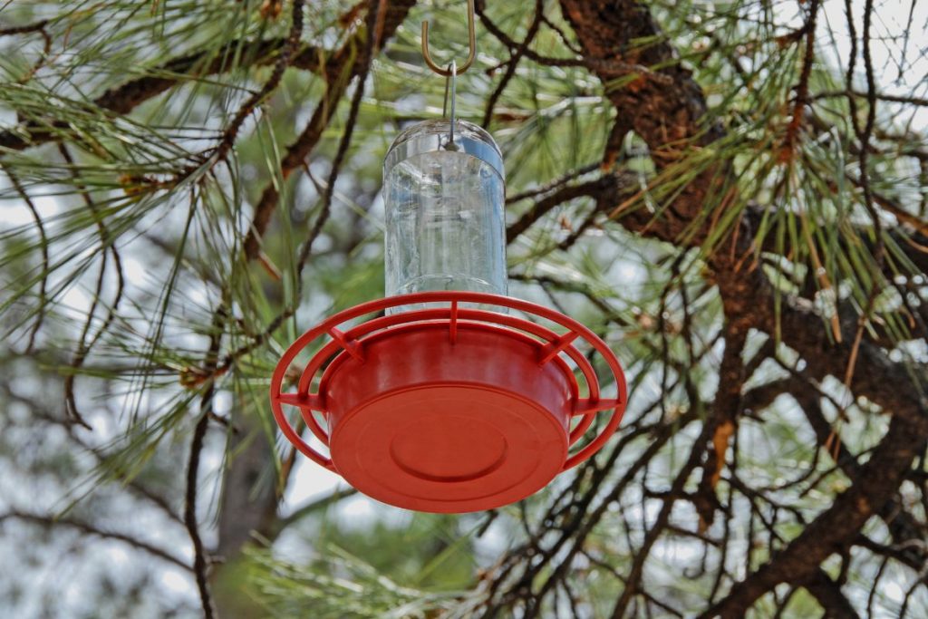 How High Should I Hang My Hummingbird Feeder
