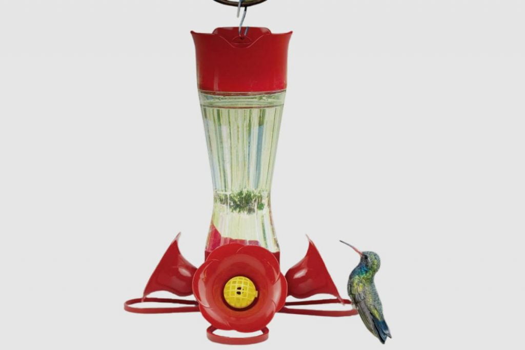 How Much Sugar Water Should Be Put in a Hummingbird Feeder