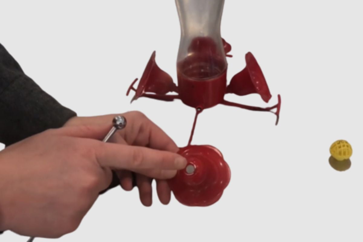 Tips on How to Prevent Hummingbird Feeder Drips and Leaks Home Bird