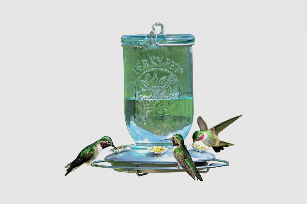 Perky-Pet 785-1SR Mason Jar Vintage Glass Hummingbird Feeder