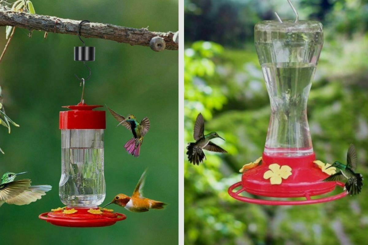 Should Hummingbird Feeder Be In Sun Or Shade