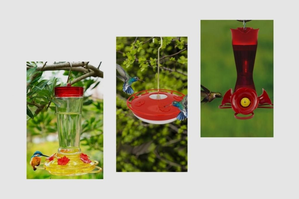Should Hummingbird Feeders Be Placed in Sun or Shade