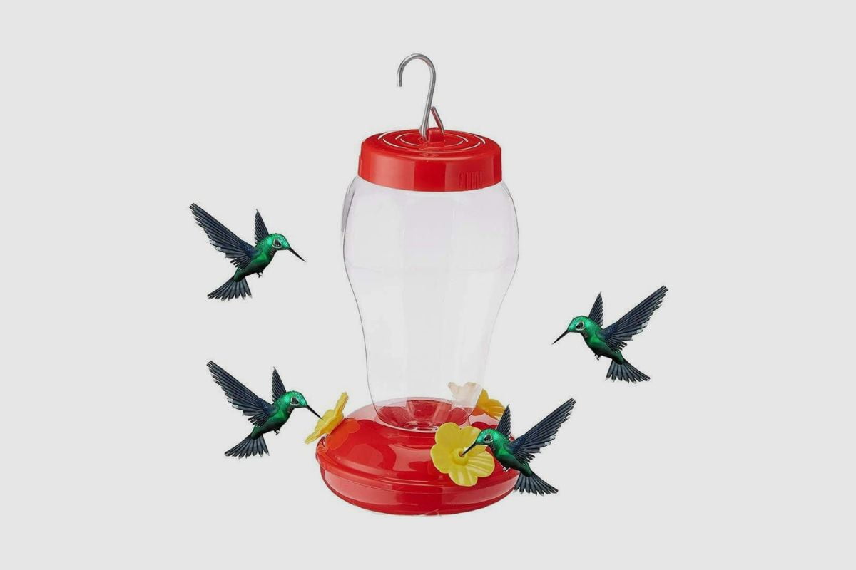 Why Is My Hummingbird Feeder Leaking? Home Bird Feeder