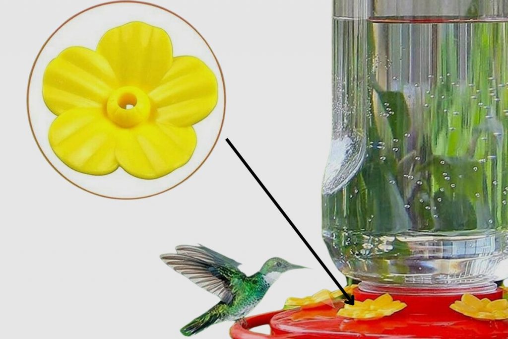 What Makes A Hummingbird Feeder Bee-Proof