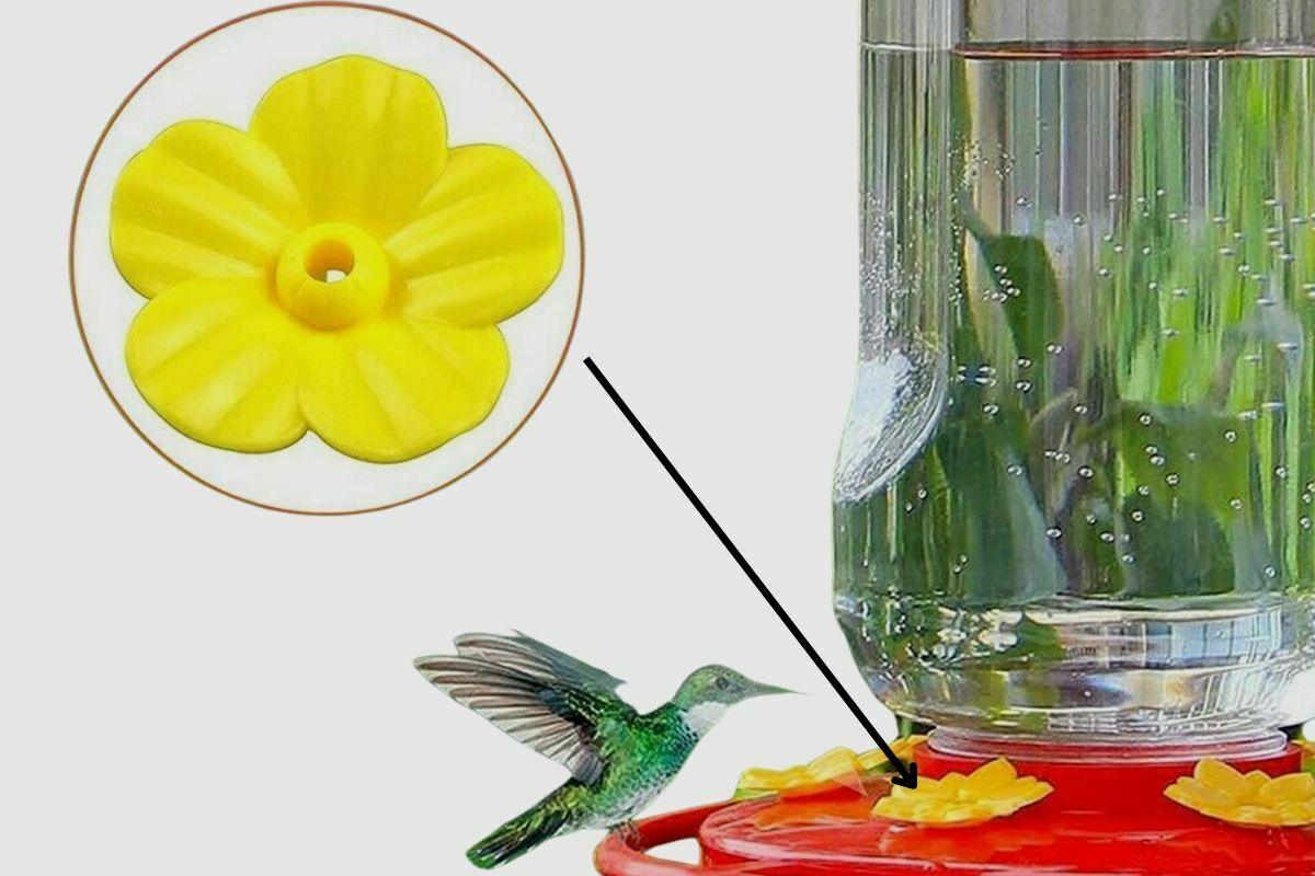 What Makes A Hummingbird Feeder BeeProof? Home Bird Feeder