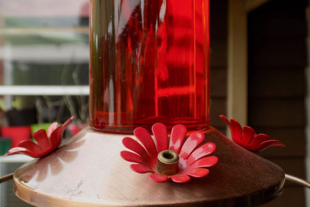 What Should I Avoid When Cleaning My Hummingbird Feeder
