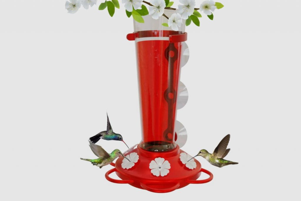 What is the Nature Anywhere Window Hummingbird Feeder with 3 Colors of Interchangeable Flowers
