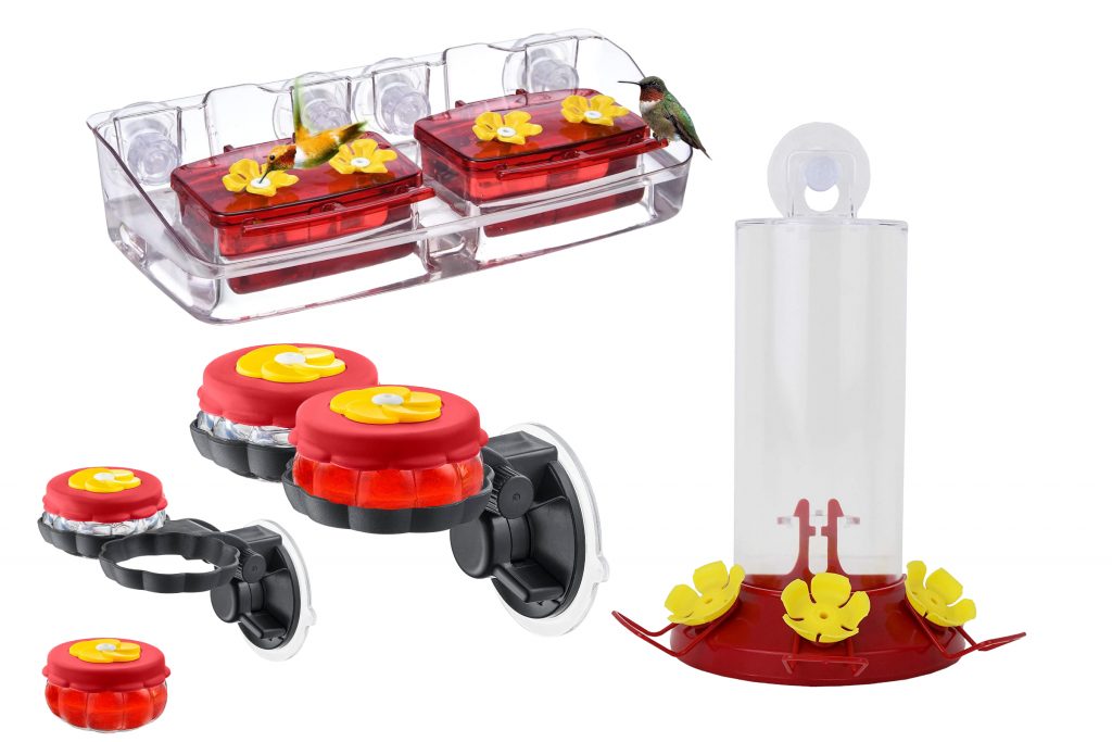 Are Window Hummingbird Feeders Safe for Birds? A Comprehensive Guide