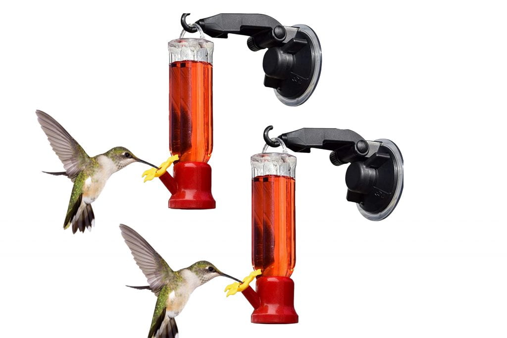 Benefits of Window Hummingbird Feeders