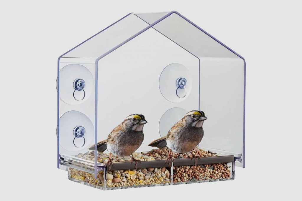 What food should I put in my window feeder