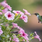 a hummingbird flying next to Petunias flowers