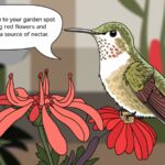 How to Attract Hummingbirds to Your Chosen Garden Spot