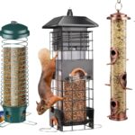 9 Best Squirrel-Proof Bird Feeders That Will Make Squirrels Admit Defeat (Finally!)