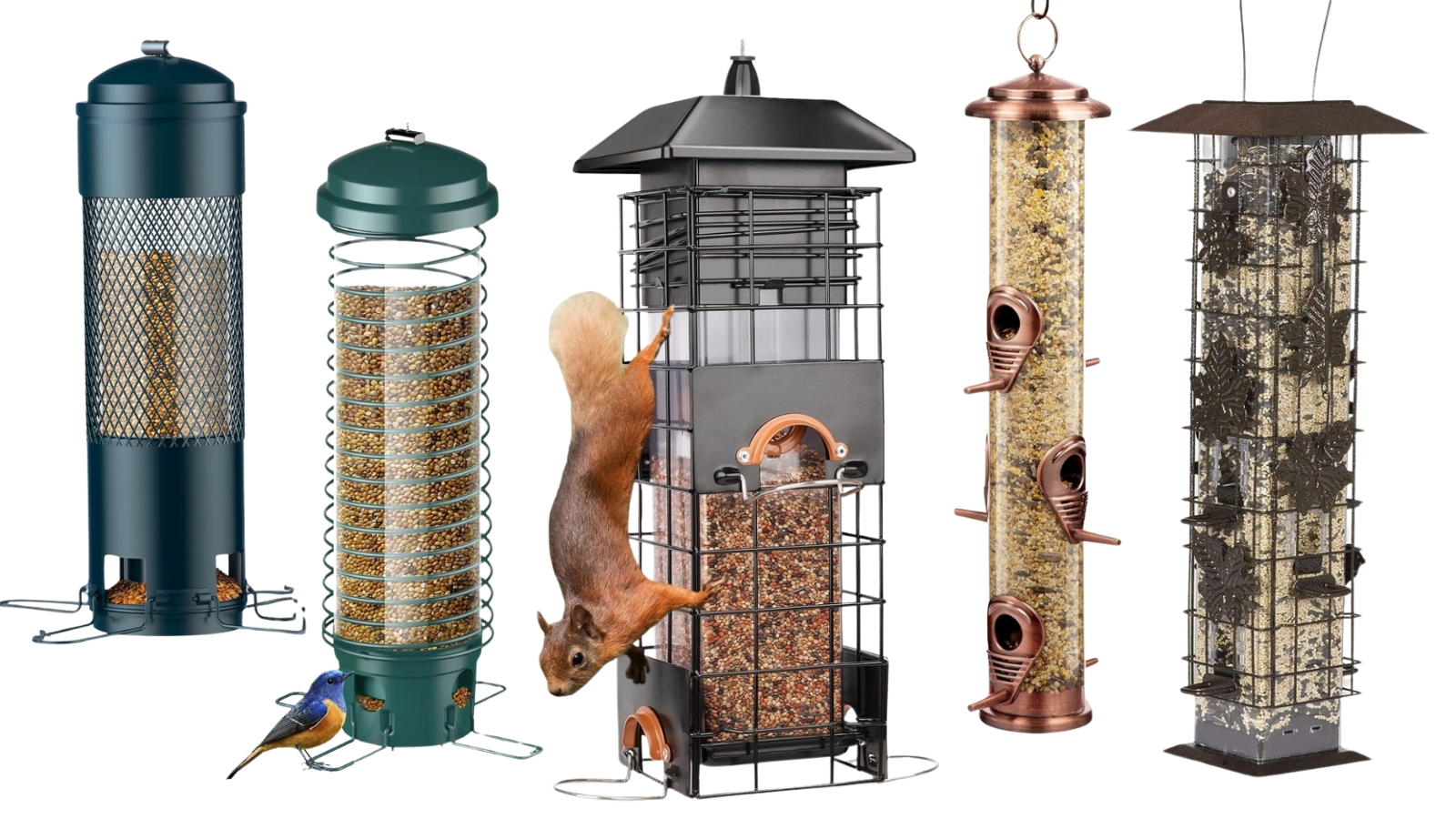 9 Best Squirrel-Proof Bird Feeders That Will Make Squirrels Admit Defeat (Finally!)